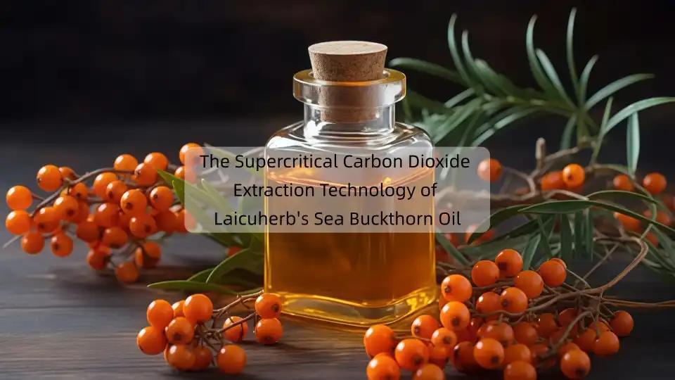 The Supercritical Carbon Dioxide Extraction Technology of Laicuherb's Sea Buckthorn Oil